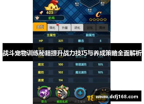 战斗宠物训练秘籍提升战力技巧与养成策略全面解析